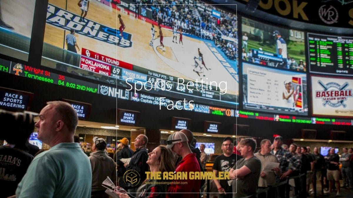 Sports betting facts with players watching NBA results