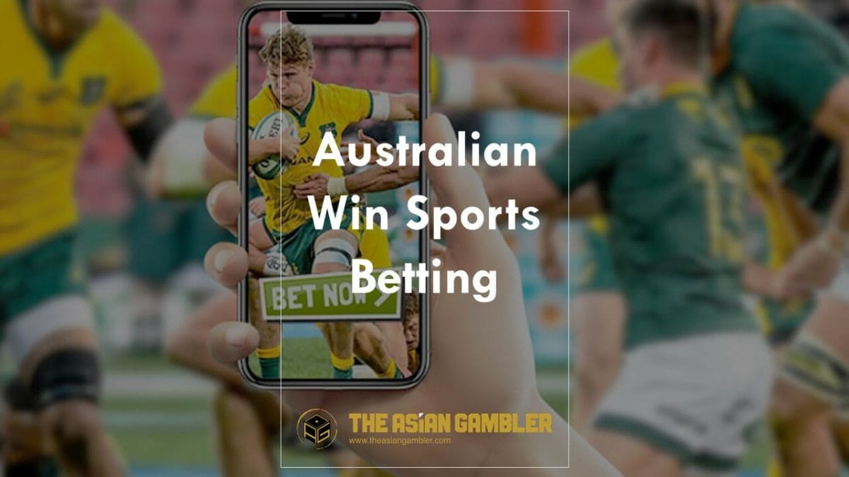 What sport is most profitable on betting?