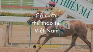 Online Sports Betting in Vietnam