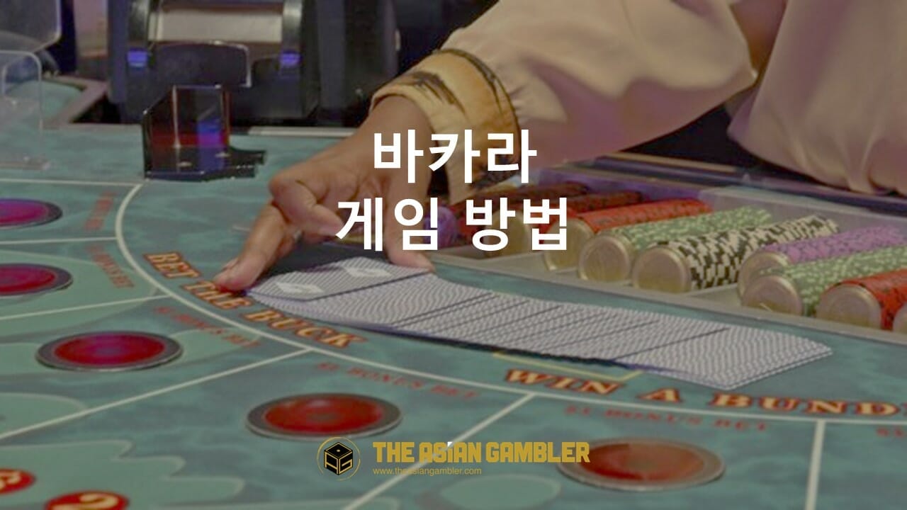 바카라 게임 방법: 한국인을 위한 초보자 가이드
